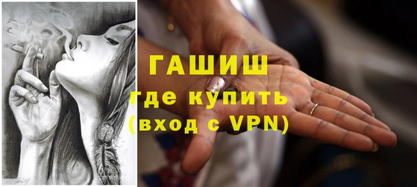 стаф Осинники