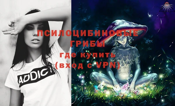 дмт Абаза