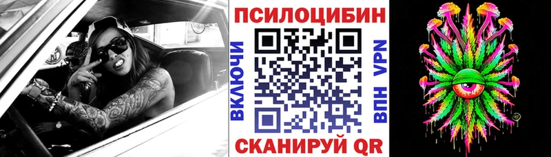 сколько стоит  Отрадное  Галлюциногенные грибы MAGIC MUSHROOMS 