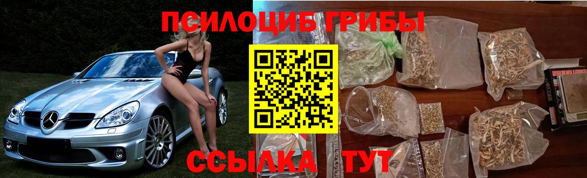 Галлюциногенные грибы Psilocybine cubensis  Псилоцибиновые грибы GOLDEN TEACHER  Вход с VPN  Отрадное 