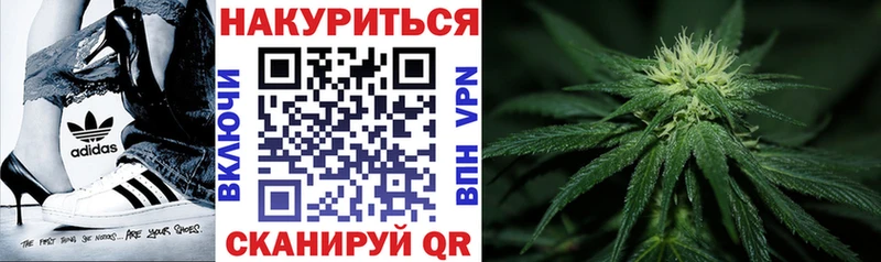 Канабис планчик  купить наркотик  Отрадное 