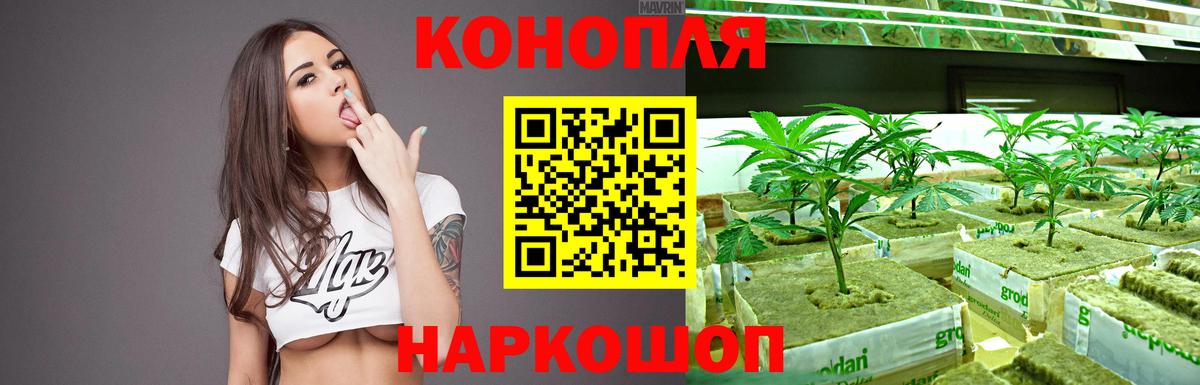 Конопля Amnesia  МАРИХУАНА гибрид  Отрадное  Вход с VPN 